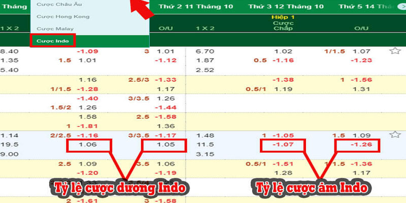 Tính mức kèo Indo Odds cơ bản